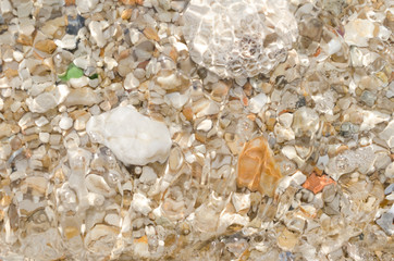 Fototapeta na wymiar Dried coral and sea shells on sand beach texture background.