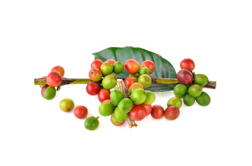 coffee beans  on white background.