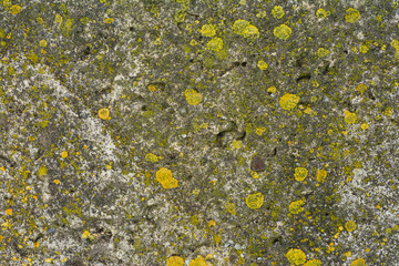 Old concrete