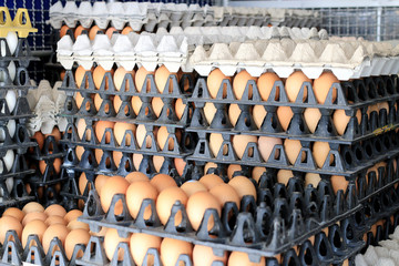 Eggs from chicken farm in the package that preserved for sale