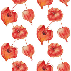 Handwork watercolor seamless pattern with physalis fruit berry on white background. Hand drawn botanical illustration.  - 130961715