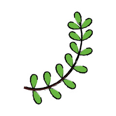 Wreath leaves ornament icon icon vector illustration graphic design