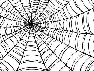 spiderweb, spider web, vector illustration design, hand drawn
