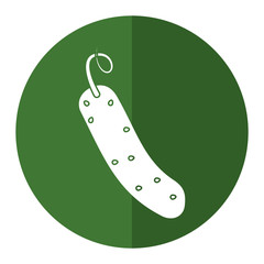 cucumber nutrition vegetable green circle shadow vector illustration eps 10