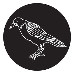 crow vector illustration design, hand drawn line, symbol of crow
