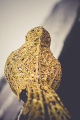 Artificial Decoration Golden Bird Retro