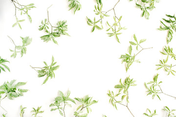 green leaves frame on white background. flat lay.