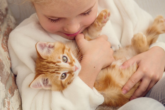cute little girl holding a kitten on a ginger hand