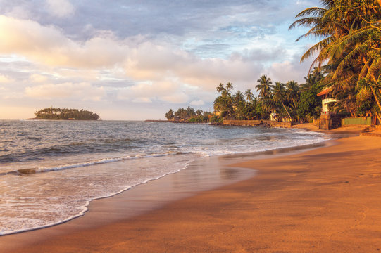 Sunset at Sandy Beach with Palm Trees on the Coast of Indian Ocean near Beruwala, Sri Lanka