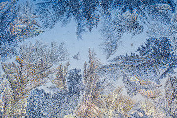 Winter Frost Patterns on Window