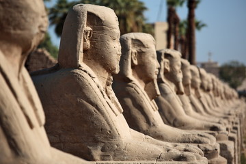 Row of ancient sphinxes at Luxor temple in Egypt

