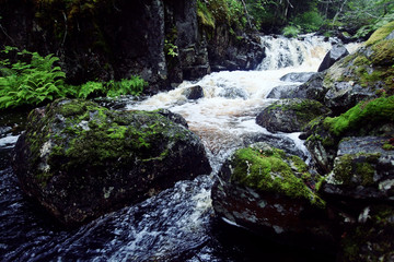 Naklejka premium landscape in the spring forest small waterfall stream