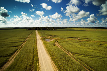 Summer day in latvian coustryside.