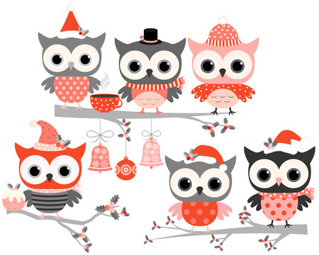 Cute winter owl birds in red and grey colors