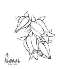 Black and white sketch of a bellflower