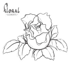 Rose painted schematically