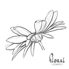 Design sketch of daisies - 130969541