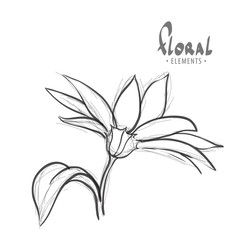 Summer flower on a white background