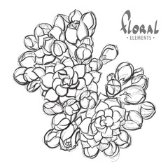 Lush flower blossoms in black and white