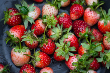 Fresh strawberries on wood. 