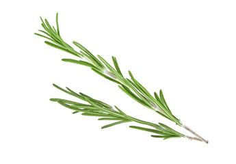 Fototapeta premium Rosemary on a white background, closeup