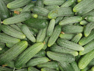 gherkin