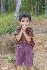 Fototapeta premium Portrait of Asian little boy