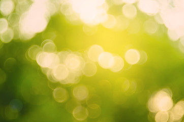 Copy space of nature green bokeh sun light flare and blur leaf abstract texture background.