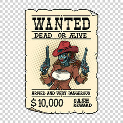 Steampunk female robot bandit, wild West Western style