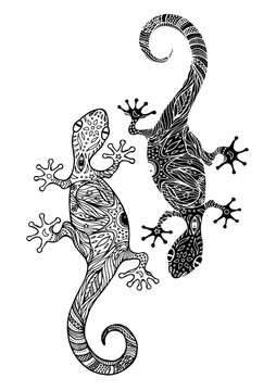 beautiful couple lizard gecko hand drawn vector illustration design