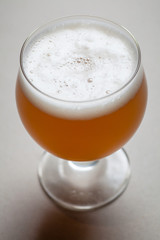Wheat beer on gray