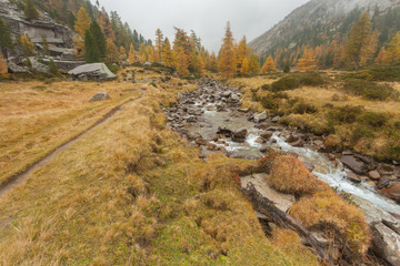 Fototapeta na wymiar walking at fall in a cloudy day next to a mountain stream