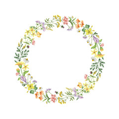 Watercolor round frame with medical plants.
