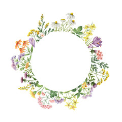 Watercolor round frame with medical plants.