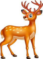 Cartoon deer isolated on white background