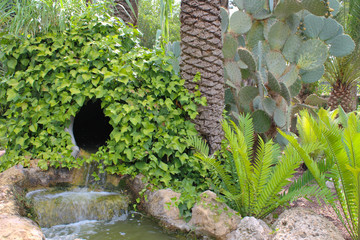 Fuente con enredadera