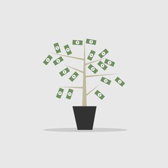 Money Tree Symbol of Wealthy