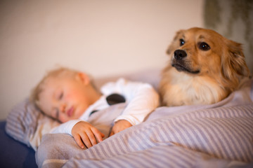 Hund und Kind in einem Bett