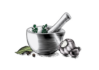 Mortar bowl and pestle with spice, herb and garlic - obrazy, fototapety, plakaty