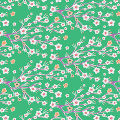 Cherry Blossom Blooming surface pattern background in spring season in Japan,China,Asia for Lunar New Year celebration.
