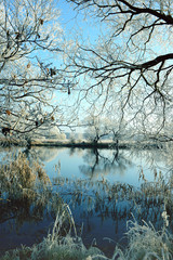 rime frost landscape at Havel river (Brandenburg - Germany)