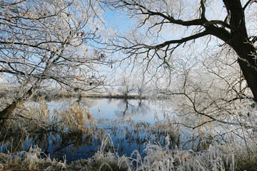 rime frost landscape at Havel river (Brandenburg - Germany)