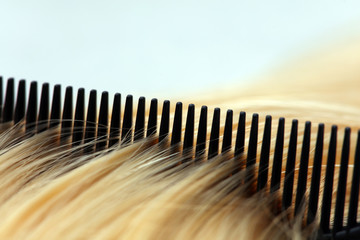 Blond hair and comb on white background. Hairdresser salon concept, Hairdressing Set. Haircut accessories.