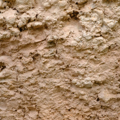 saline soil surface