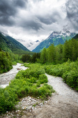 Landscape as seen from Yukon Route Railroad, including Alaskan s