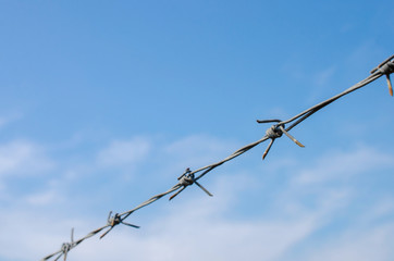 Barbed wire