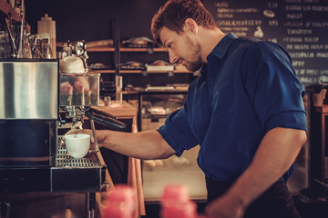 Handsome barista preparing cup of coffee for customer in coffee shop