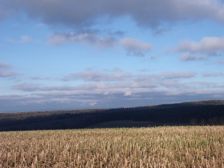 Abgeerntetes Feld im Herbst