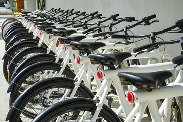 Bicycles stand in a row on a parking for rental