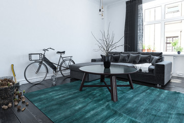 Students bicycle in a modern living room